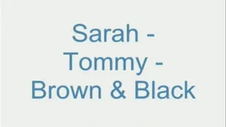 Sarah - Tommy brown and black