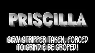 Stripper Priscilla Lapdances For Freedom!! - AVI (720 X 480 in size)