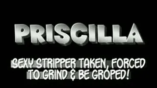 Stripper Priscilla Lapdances For Freedom!! - AVI (320 X 240 in size)