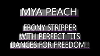 Athletic Stripper Made To Lap Dance For Freedom! - MPG-4 FORMAT