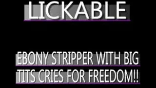 A Stripper Named Lickable Gets Taken And Groped!! - (480 X 320 SIZED)