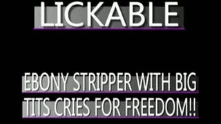 A Stripper Named Lickable Gets Taken And Groped!! - MPG-4 VERSION
