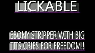 A Stripper Named Lickable Gets Taken And Groped!! - (320 X 240 SIZED)