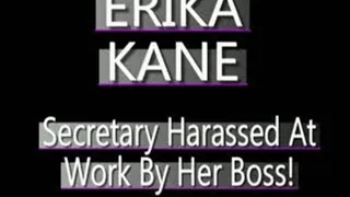 My Secretary Erika Tormented! - AVI VERSION