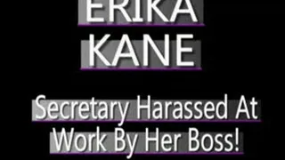 My Secretary Erika Tormented! - WMV CLIP - FULL SIZED