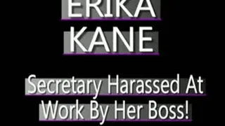 My Secretary Erika Tormented! - MPG-4 VERSION