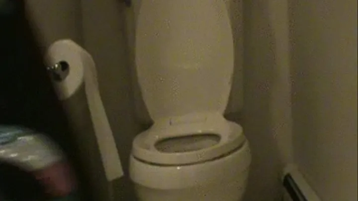 POOOUSHING on the toilet from behind