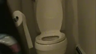 POOOUSHING on the toilet from behind