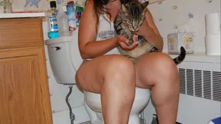 Kitty on the toilet