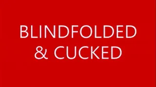 Blindfolded & Cucked