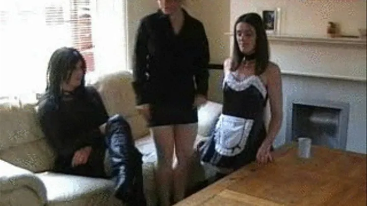 Female French Maid for a Trannys Birthday Party