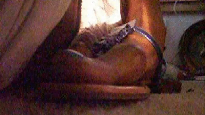Ebony Cock crushing under heels
