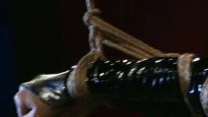 BONDAGE 248