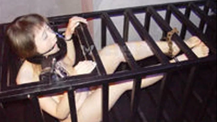 cage bondage