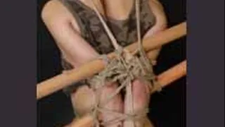 Oriental Bondage #262