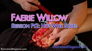 Faerie Willow's Bastinado Session Part Two: Hot Wax (VID0813B, )