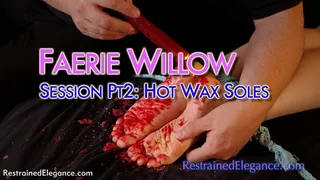 Faerie Willow's Bastinado Session Part Two: Hot Wax (VID0813B, )