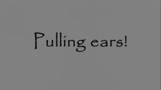 Pulling ears 3gp