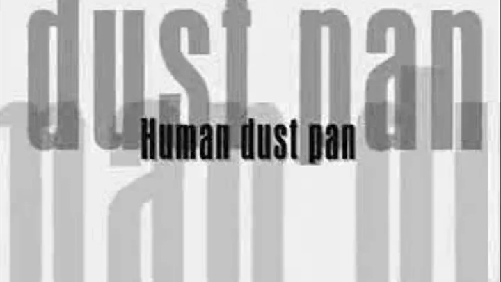 Human dust pan 3gp