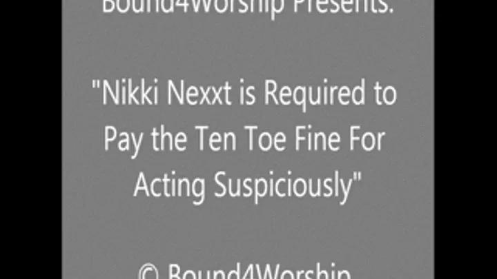 Nikki Nexxt Arrested and Fined