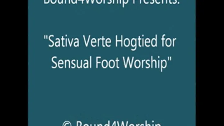 Sativa Verte Hogtied for Worship - SQ