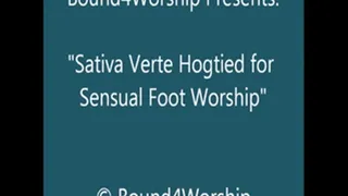 Sativa Verte Hogtied for Worship