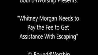 Whitney Morgan Escape Fail Worship