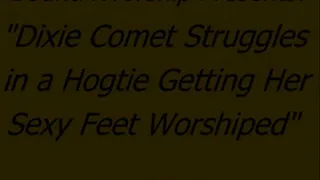 Dixie Comet Hogtied for Worship - SQ