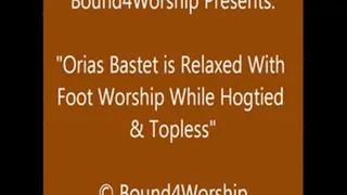 Orias Bastet Hogtied for Worship - SQ