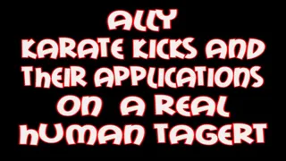 Ally karate kicks and their application on a real human target