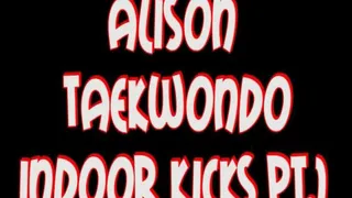 Alison indoor tkd kicks pt1