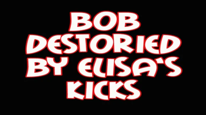 Bob is destroyed by Elisa's kicks