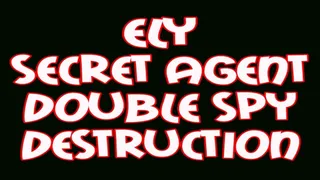 Ely secret agent double spy destruction