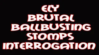 Ely brutal ballbusting stomps interrogation