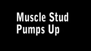 FFB019 Muscle Stud Pumps Up