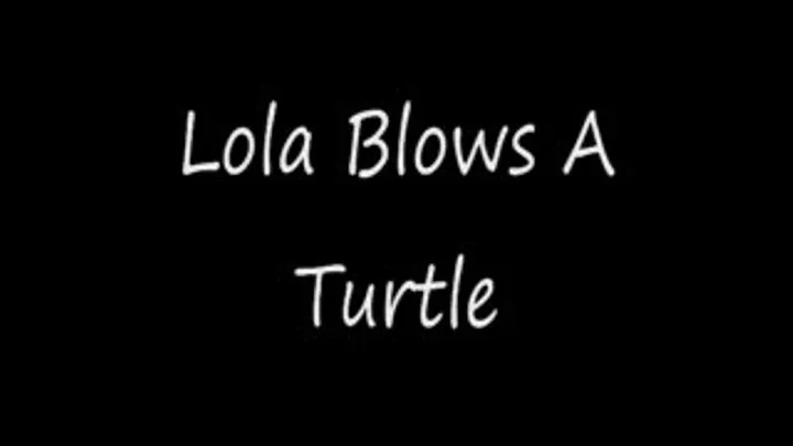 Lola Blows Mr. Turtle Preview Streaming