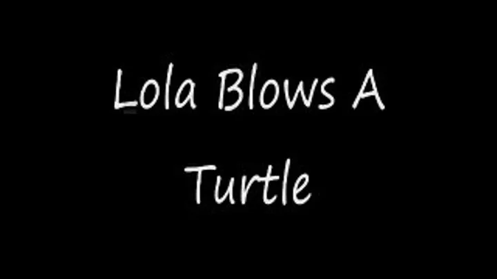 Lola Blows Mr. Turtle Preview Quicktime