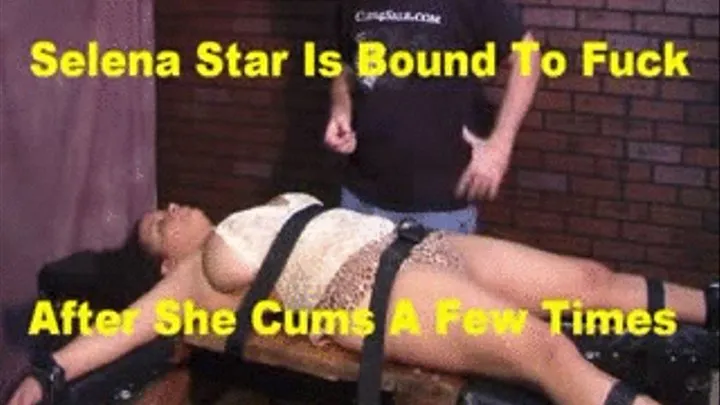 BBW Selena Star Is Bound To Fuck