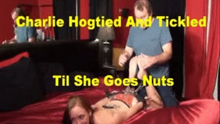 Charlie Page Hogtied And Tickled Preview