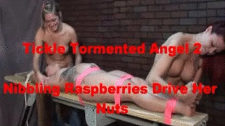 Tickle Tormented Angel preview