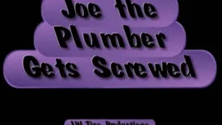 joe The Plumber Gets Screwed by Lola Lynn