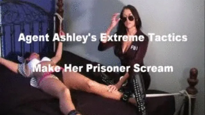 Agent Ashley's Extreme Measures Preview