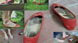 red ballerinas in the garden ... CLIP 3