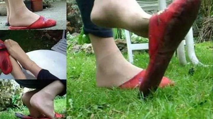 trashed slippers and dirty nylons in the garden!