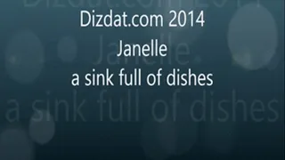 Janelle a sink full of dishes