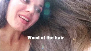 Wood of the hair