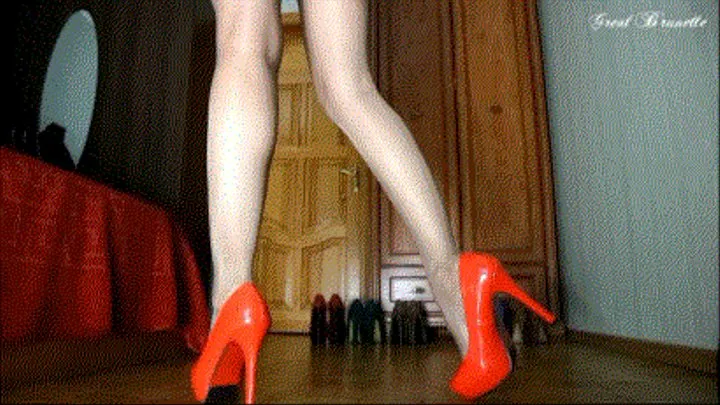 6 pairs of high-heeled shoes on sexy legs.