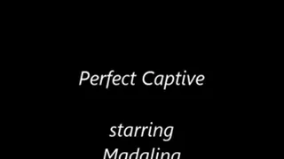 Perfect Captive