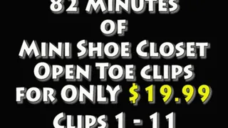 82 Minutes of Mini Shoe Closet Clips for $19.99 High Quality