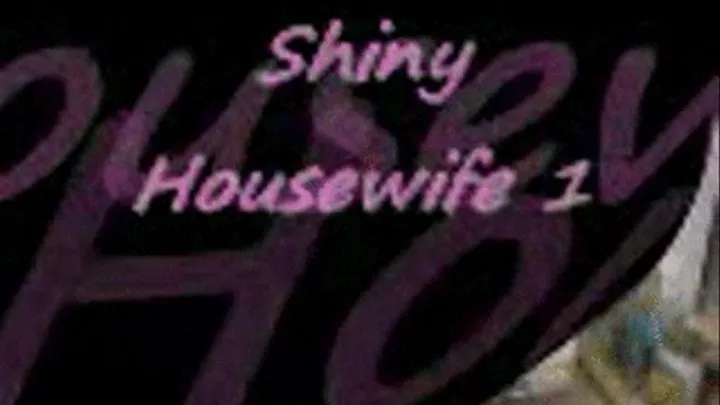 Shiny Housewife 1 2mins 3gp